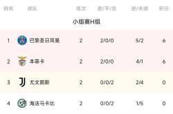 遭遇两连败，都灵坠至积分榜倒数第二的简单介绍